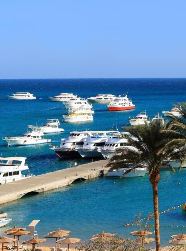a-group-of-ships-in-the-waters-of-the-red-sea