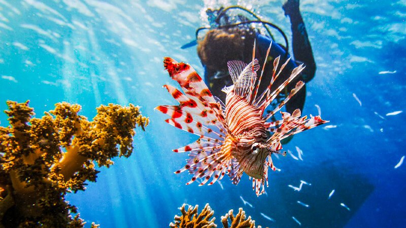 Where to Stay in Hurghada