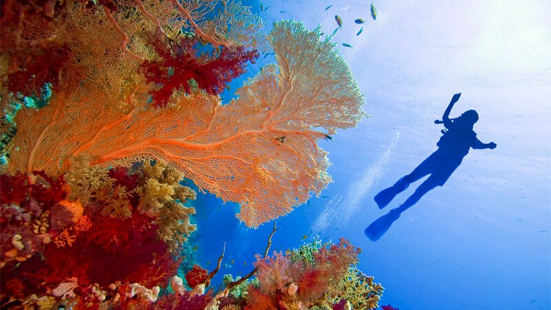 Where to Stay in Hurghada