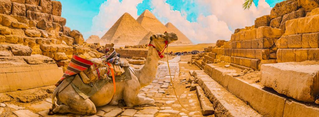 best activites to visit in egypt in january